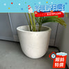 Planter D290 x 280h mm, Concrete