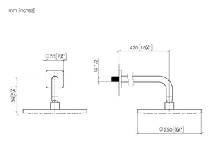 YAMOU 28649832-00 Rain shower with ceiling fixing 250 mm in Polished Chrome